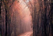 打造产教融合体育赛事新标杆!“BEESOUL杯”匹克球巡回赛上经贸大首站赛事.