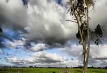 宿茂臻重回山东泰山足球俱乐部任职.