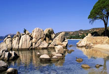 一场综合经济效益近十亿的体育狂欢盛宴——国足比赛经济学.